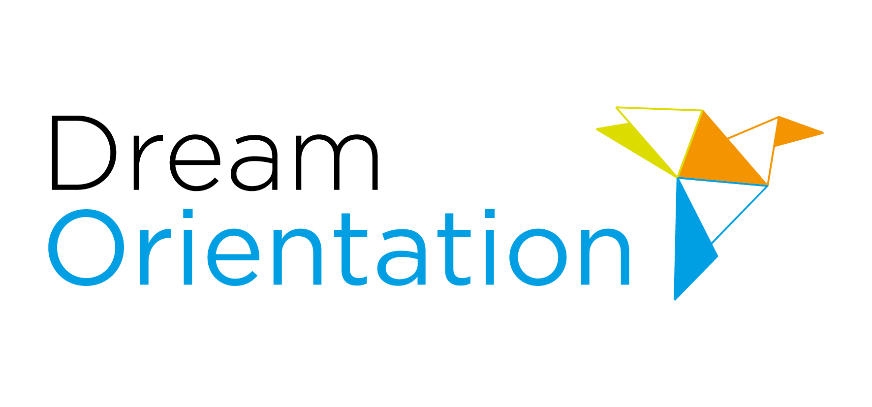 Logo Dream Orientation, Delphine Terniers
